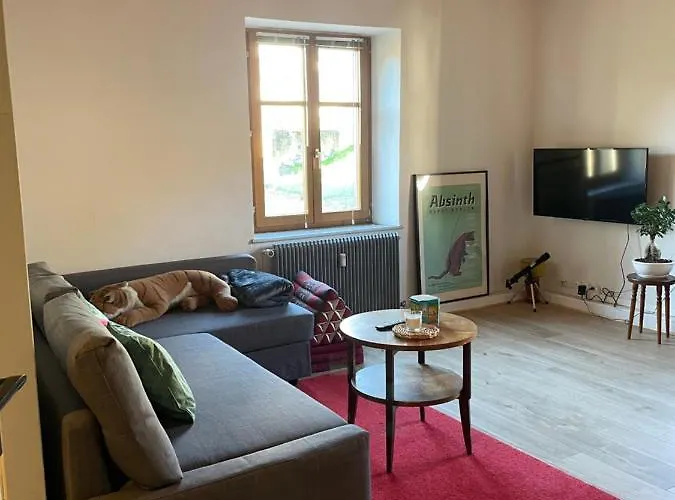 Le Hohwald Centre Appartement 2 Pieces # 102