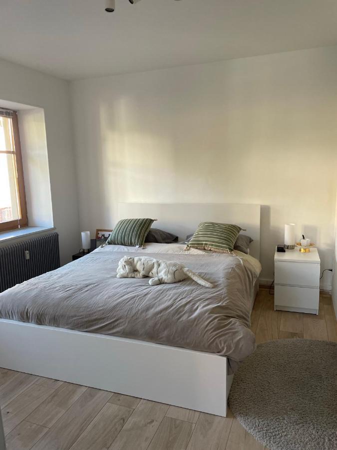 Centre 2 Pièces Appartement Le Hohwald