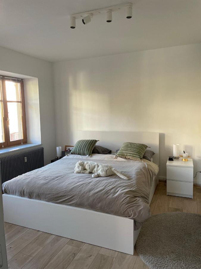 Centre 2 Pieces # 102 Apartment *